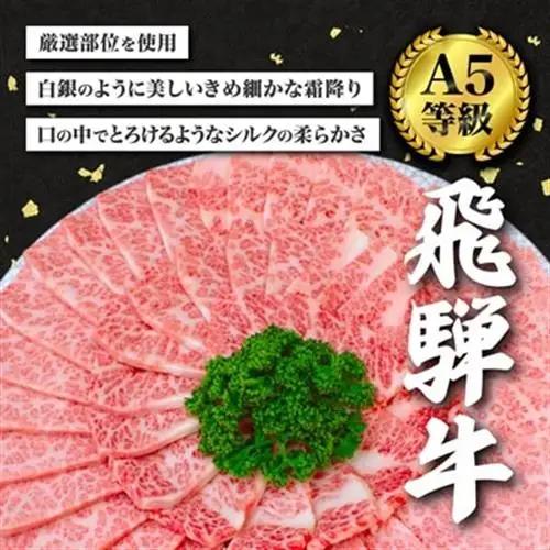 【訳あり】飛騨牛切り落し焼肉用600g【配送不可地域：離島】【1708987】