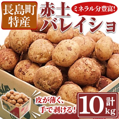 長島地区特産 赤土バレイショ(10kg)【鹿児島いずみ農業協同組合】ja-5361