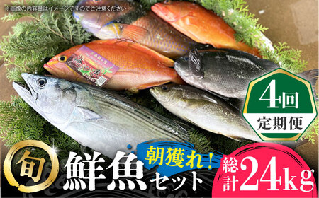 【全4回定期便】五島列島直送！朝獲れ鮮魚セット6kg　鯛福丸水産/五島市 [PDP015]