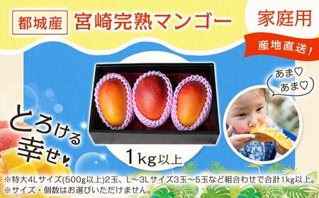 【先行受付!】宮崎完熟マンゴー家庭用1kg以上(都城産)_MJ-3311_(都城産) 特大4Lサイズ(500g以上)2玉 L～3Lサイズ3玉～5玉など組合わせで合計1kg以上 宮崎マンゴー 産地直送 