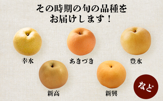 【2026年7月下旬〜発送分】東光寺 梨 4kg (8〜15玉) 1箱 完熟 幸水 豊水 秋月 新高 新興 品種 旬 果物 くだもの フルーツ 甘い 025-0572