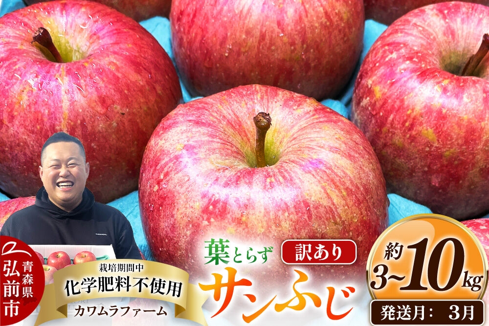 
                  りんご【27年3月クール便発送】葉とらず サンふじ【選べる約 3kg／6kg／10kg】【訳あり】先行受付 カワムラファーム 青森県 弘前市 果物 フルーツ 林檎 リンゴ くだもの 不揃い 規格外 [先行予約 クール便 産地直送 アップル おいしい 果実 美味 甘い 赤色]
                