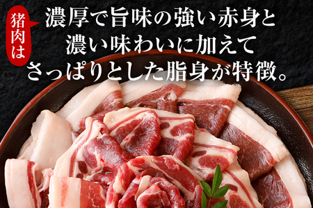 猪肉 福岡県産 猪鍋 詰め合わせ 800g 猪肉