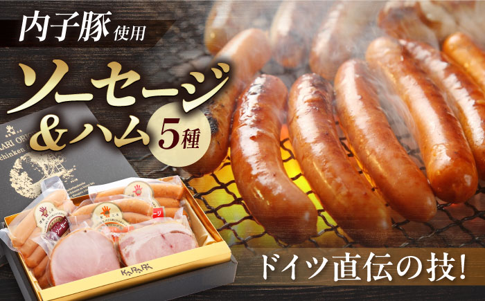 内子からり直送！ドイツ仕込み内子豚ハムソーセージセット1 ／ ソーセージ BBQ ハム 晩酌 大人気 おつまみ ギフト 四国 愛媛県 内子町 【株式会社内子フレッシュパークからり】 [BKAD002]