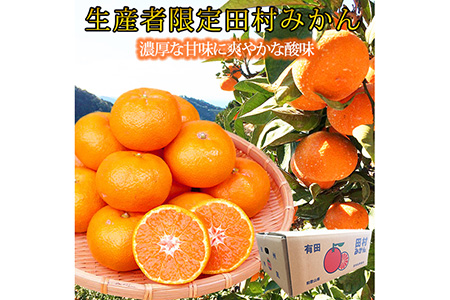 高級ブランド田村みかん １０kg◇｜ 蜜柑 柑橘 果物 フルーツ 糖度 甘い 濃厚 コク ジューシー 先行予約 みかん 国産 産地直送 人気 美浜町 ※2025年11月下旬〜2026年1月下旬頃に順次発送予定 ふるさと納税 ミカン