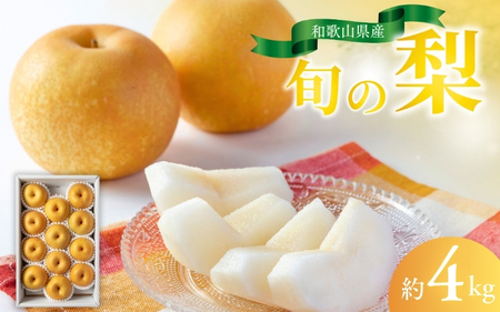 和歌山県産の梨 約4kg  【2025年8月中旬から9月上旬までに順次発送】【BG006-mat102A】