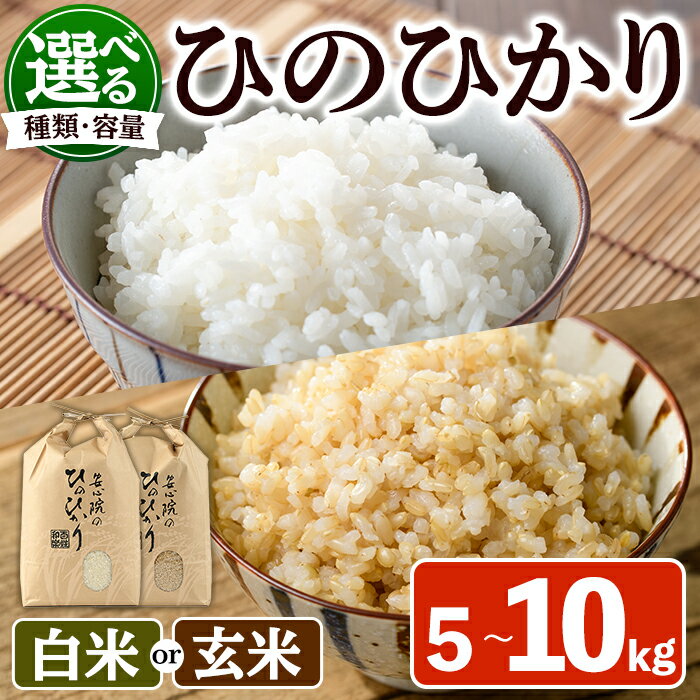 【ふるさと納税】＜種類・容量が選べる！＞＜新米・令和7年産＞安心院産ひのひかり 精米 玄米 (5kg〜10kg) 米 お米 ひのひかり ヒノヒカリ 精米 白米 玄米 ご飯 大分県産【101200102・101200801・101200701・101200202】【百姓和楽】