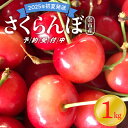 【ふるさと納税】【2025年初夏発送】 さくらんぼ 毎年大好評！ こだわりの 東谷農園 余市産 さくらんぼ 500g × 2パック 合計 1kg フルーツ 果物 果実 チェリー 美味しい 旬の味覚 北海道 東谷農園 国産 お取り寄せ お取り寄せフルーツ 送料無料