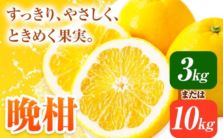 
                  みかん 晩柑 選べる内容量 3kg 10kg 高橋商店《2027年3月下旬-7月上旬頃出荷》熊本県 苓北町 柑橘 かんきつ 果物 フルーツ 送料無料
                