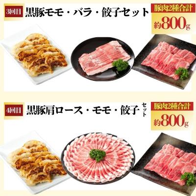 ふるさと納税 肝付町 <定期便・全5回>『かごしま黒豚ふるさと定期便』ファミリーセットB　D02004 |  | 02