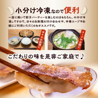 オーソドックスな餃子5袋セット
