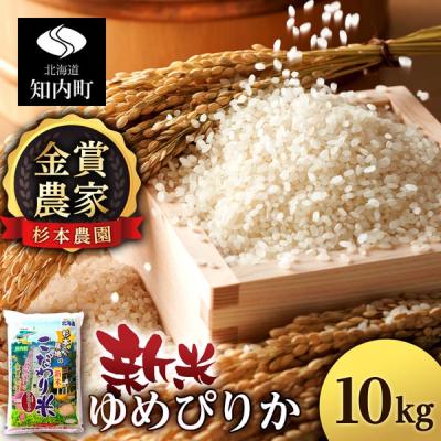 ふるさと納税 知内町 【令和7年産新米先行受付】ゆめぴりか 10kg 《杉本農園》