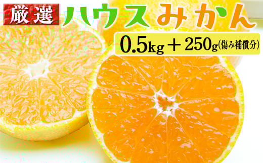
            厳選 ハウスみかん0.5kg+250g（傷み補償分）
          