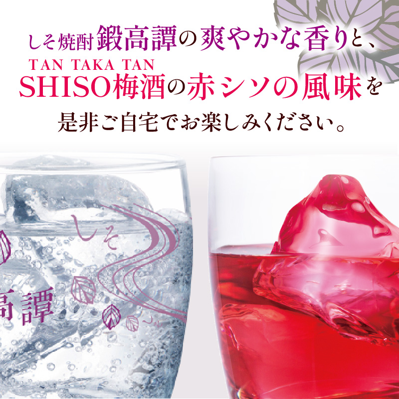 鍛高譚(たんたかたん)・鍛高譚の梅酒[720ml]【4本セット】