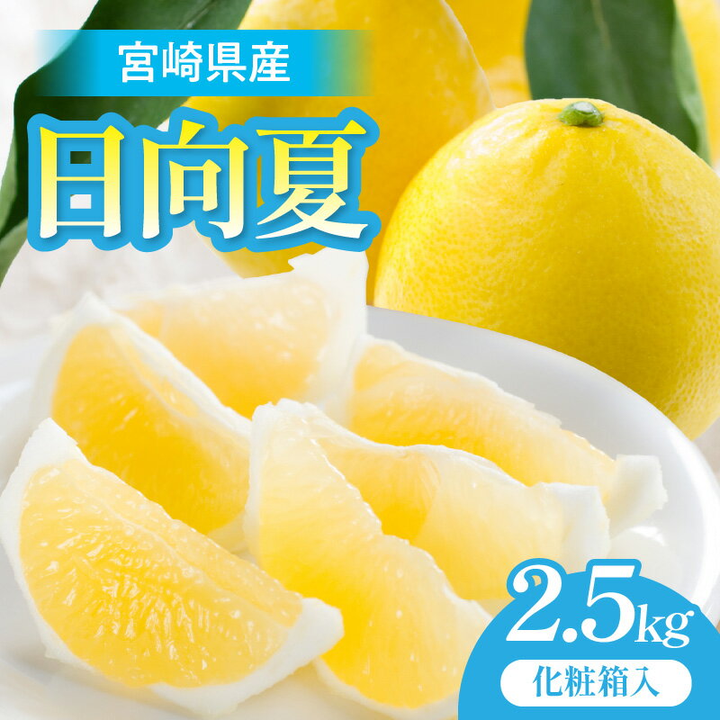 【ふるさと納税】《2026年発送》【数量・期間限定】宮崎県産日向夏2.5kg 化粧箱入り 果物 フルーツ 果実 青果物 生鮮食品 柑橘 柑橘類 デザート スイーツ 化粧箱 贈答 贈答用 プレゼント ギフト お歳暮 お中元 お祝い 内祝い グルメ お取り寄せ 宮崎県 宮崎市