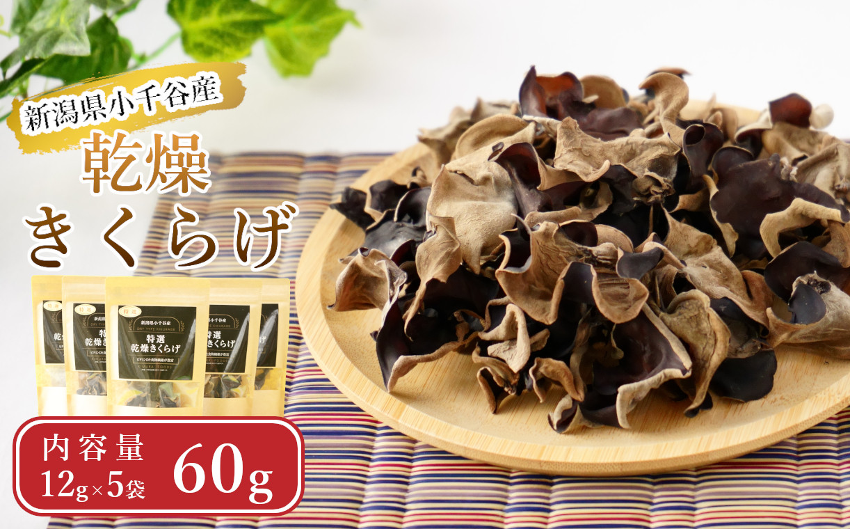 
            新潟県小千谷市産 【特大サイズ】乾燥きくらげ (12g×5袋) 木村食品 【0002-0289-01】
          