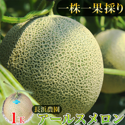 【数量限定100】アールスメロン（ネットメロン） 1玉（2026年7月上旬～発送） 国産 フルーツ 果物 メロン 甘い 糖度 ハウス栽培 リピート めろん ふるさと納税 メロン ふるさと納税 先行予約 期間限定
