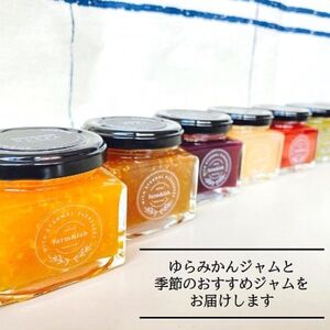 【無添加】和歌山産 季節のジャム 4個セット(ゆらみかんジャム+季節のおすすめジャム)【1493655】