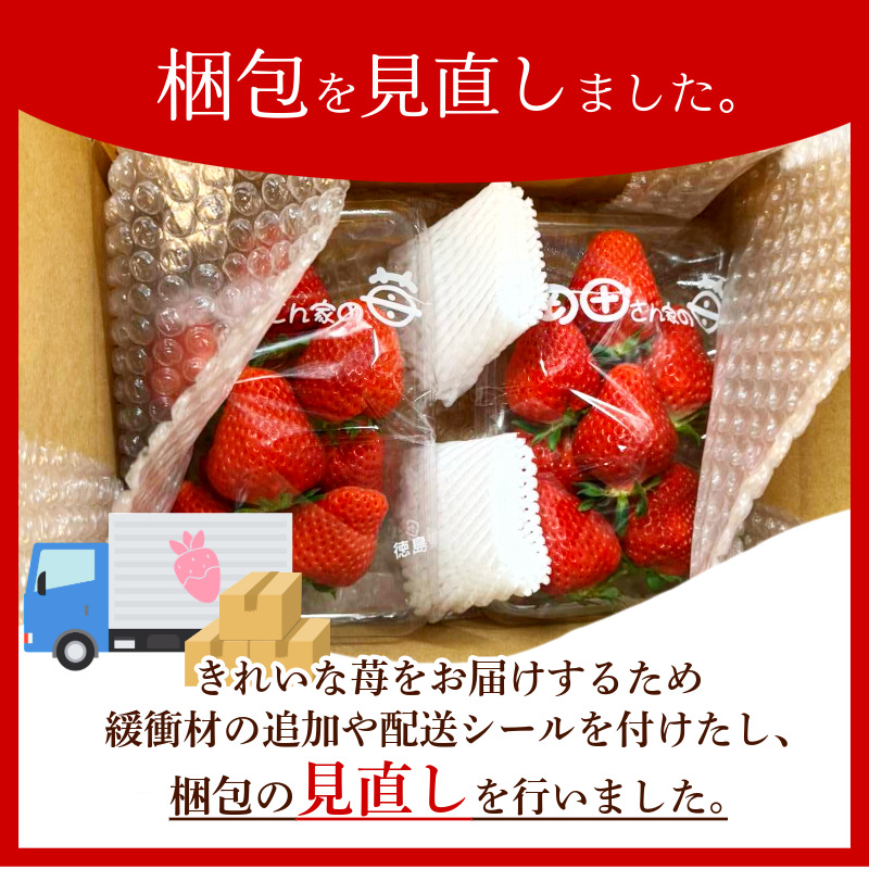 【 先行予約 】 いちご 1kg 紅ほっぺ 苺 イチゴ ストロベリー 数量限定 徳島県産 strawberry ichigo itigo 2月上旬より順次出荷 徳島県 9000 9000円 一万以内 