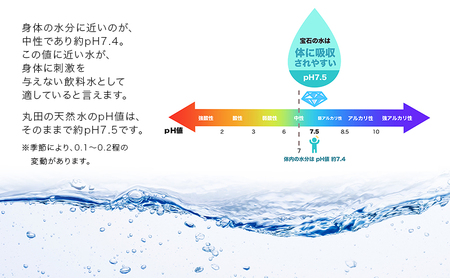 水 【20パック】宝石の水　1L×20パック/非常用 備蓄用 常温 常温保存 備蓄水/北陸/丸田工業株式会社/富山県黒部市 飲料 飲料水 飲料類 ミネラルウォーター 