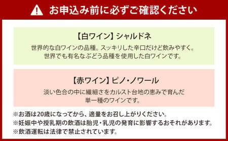 平尾台白ワイン・シャルドネ（730ml）と 平尾台赤ワイン ピノ・ノワール（750ml）2本セット ワイン 飲み比べ 赤白ワイン セット お酒