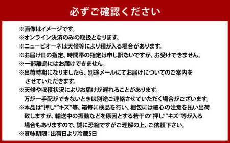  ぶどう 2024年 先行予約 ニュー ピオーネ 1房と オーロラブラック 1房（1房500g前後） 産地直送 ブドウ 葡萄  岡山県産 国産 フルーツ 果物 ギフト たけまさぶどう園