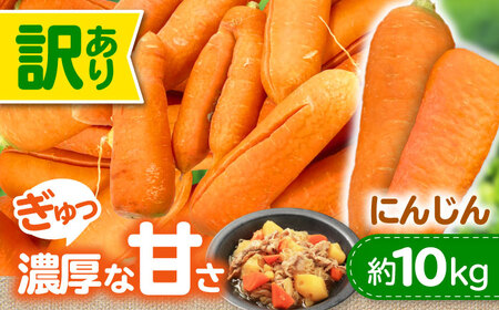 にんじん【5月上旬から順次発送】訳アリ にんじん 10kg 愛媛県大洲市/株式会社誠実村[AGER001]