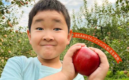 白鷹町産りんご （紅玉） 5kg りんご 林檎 果物 くだもの フルーツ 旬 紅玉 国産 山形県 白鷹町 【2025年9月下旬～10月上旬発送予定】