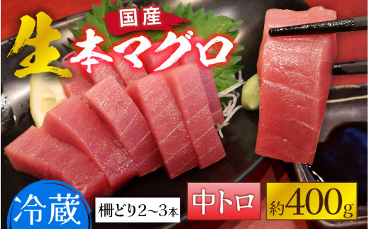 【冷蔵・指定日着可】生本マグロ中トロ 約400g 3～4人前 [B-066006] / 国産 まぐろ 鮪 さく 柵どり 冷蔵 真空パック ヘルシー 4人前 3人前 新鮮 刺身 丼