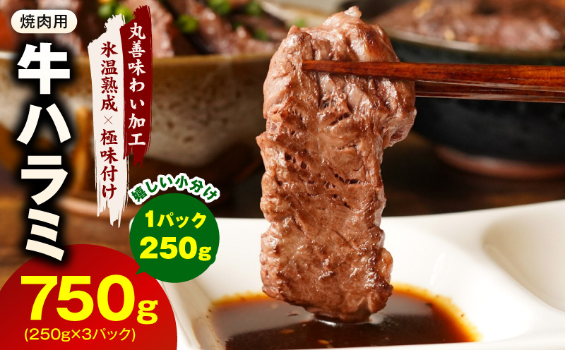 【スピード発送】牛肉 ハラミ 750g 小分け 250g×3P【氷温熟成×極味付け 牛肉 訳あり 不揃い 焼肉 BBQ 野菜炒め 大阪 泉佐野 大阪府 泉佐野市】