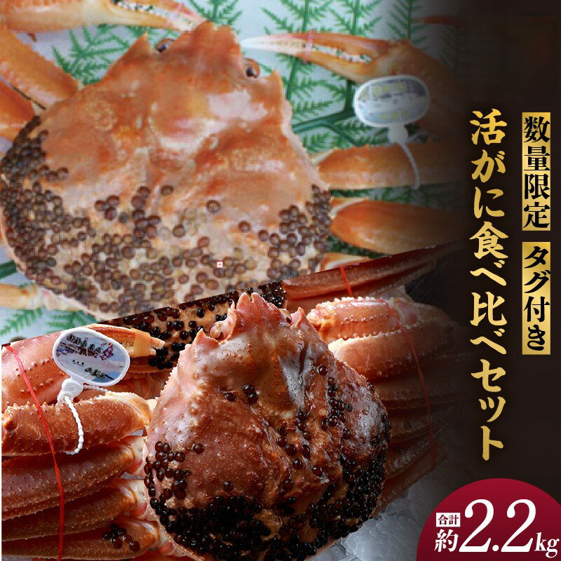 【ふるさと納税】海鮮セット 2種 タグ付き 活 松葉ガニ 黄金がに 2杯 計2.2kg 食べ比べセット カニ かに 蟹 ズワイガニ 数量限定 かにしゃぶ カニしゃぶ かにすき 焼きガニ 鍋 生 刺身 かにみそ カニ味噌 特大 お祝い ギフト 高級料亭 希少 香住産 姿 蟹 送料無料