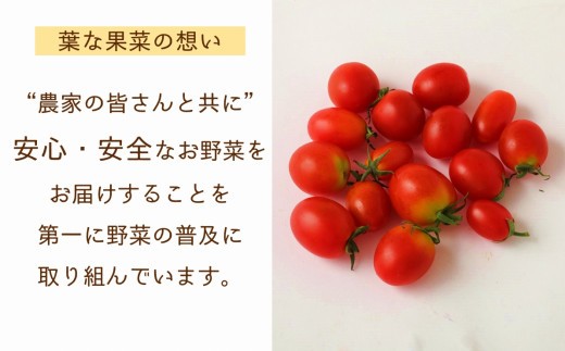 葉なファームセレクト　うすき旬のお野菜セット