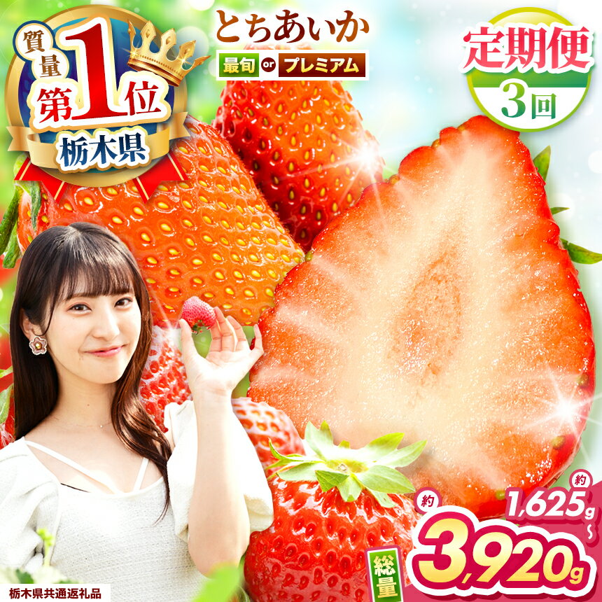 【栃木県共通返礼品】【ふるさと納税】【先行予約】【選べる品種・定期便】プレミアムとちあいか　最旬とちあいか | 定期便 いちごいちご とちあいか 大粒 新鮮 甘い 食べ比べ 数量 限定 美味しい 果物 フルーツ デザート 栃木県 那珂川町 送料無料 ご褒美