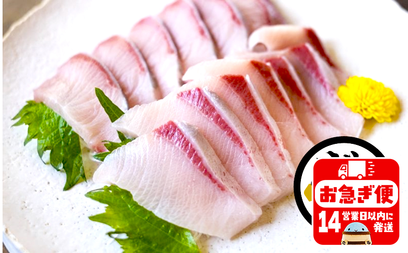 B2-4766／【鹿児島産ぶり】冷凍・ぶり皮無ロイン（背腹計2ｐ）