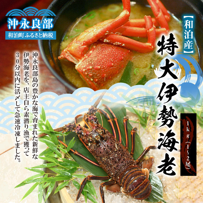 【漁師直送】活き〆冷凍 特大伊勢海老 1kg（1〜2尾）　W005-003【小林海産】