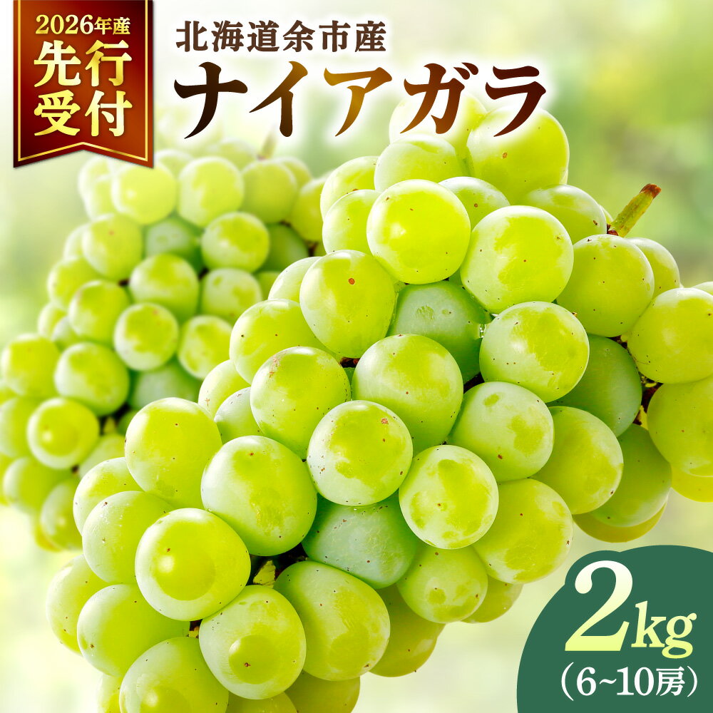 【ふるさと納税】【2026年産 先行予約】＜北海道余市産＞ ご家庭用 ナイアガラ 2kg ( 6～10房 ) 北海道 余市町 送料無料