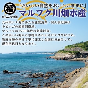 鹿児島県阿久根市産生干し「ひいらぎ」(計5袋・1袋45g)国産 魚介 干物 ひもの ヒイラギ がらんつ干物【マルフク川畑水産】a-12-153