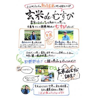 ふるさと納税 小山町 玄米deむすび　6パック |  | 03