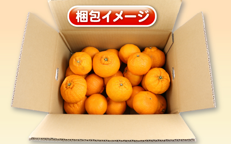 不知火 5kg 訳あり 不知火 杉本屋 先行予約 果物 くだもの わけあり 訳あり品 フルーツ 柑橘 蜜柑 みかん 不知火みかん mikan ミカン グルメ お取り寄せ デザート ビタミン 愛媛県産 