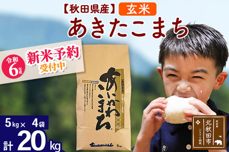 ※令和6年産 新米予約※秋田県産 あきたこまち 20kg【玄米】(5kg小分け袋)【1回のみお届け】2024産 お届け時期選べる お米 藤岡農産