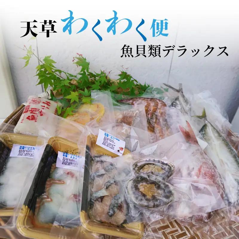 S059-002A_天草わくわく便 魚貝類デラックス(活きあわび、車海老大パックなど)