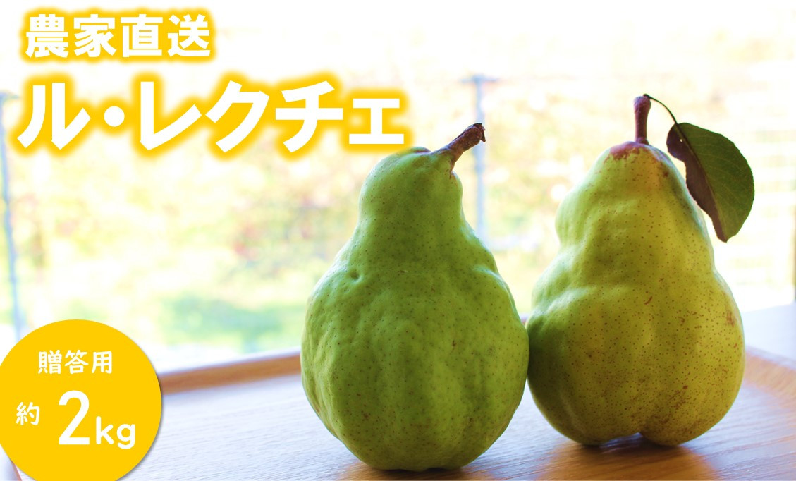 
            KL03-25A 洋梨 ル・レクチェ 大玉 約2kg（4〜5玉） 贈答 / 2025年11月中旬頃から配送予定 // 長野県 南信州 松川町産 洋梨 ルレクチェ レクチェ 西洋梨 大玉 とろける 高糖度 贈答
          