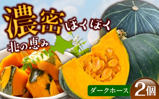 【先行予約】北海道 かぼちゃ ダークホース 2個 【9月中旬以降発送】足寄町/足寄アグリバイオ株式会社 かぼちゃ カボチャ ダークホース ハロウィン グラタン スープ 旬 新鮮 北海道産 道産 寒冷地 あしょろ [BEAC009]