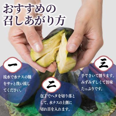 ふるさと納税 泉佐野市 こだわり水ナス漬 4個 茄子 なす 国産 漬物 旬 おつまみ 糠漬け ぬか漬け 005A795 |  | 03