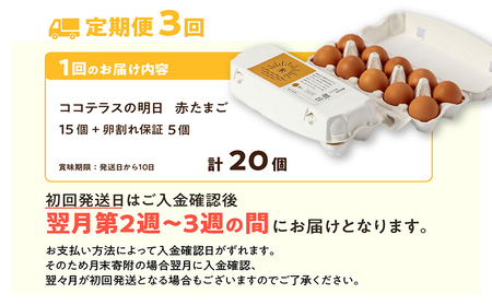 【3ヵ月定期便】ココテラスの明日(赤たまご)15個 + 5個保証(計20個)【JGAP認証】 農家直送 新鮮 卵 タマゴ 赤卵 玉子 鶏卵 朝食 夕食 夜食 朝ごはん たまご焼き オムレツ 卵ご飯 料