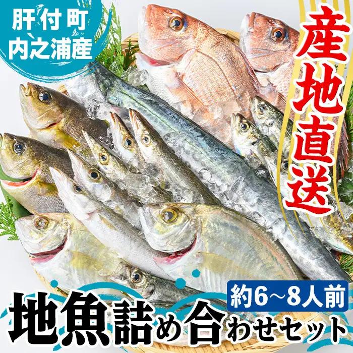 鮮魚ボックス 鮮魚BOX 地魚 詰め合わせ 約6～8人分 産地直送【マルケイ水産】C09001