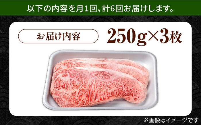 【6回定期便】佐賀県産 黒毛和牛 贅沢ロースステーキ 250g×3枚（計750g）【株式会社いろは精肉店】 [IAG091]