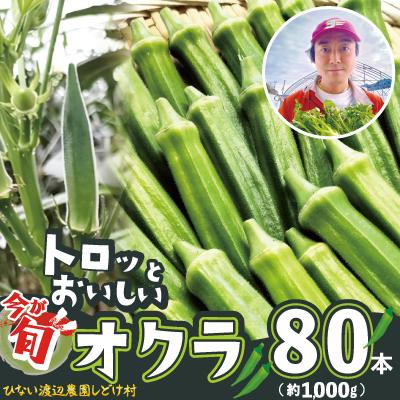 ふるさと納税 大館市 トロッとおいしいオクラ＜80本、約1000g＞