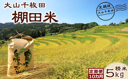 【棚田保全支援】大山千枚田の天水田育ち『棚田米』定期便 ５kg×10カ月《精米》　[0167-0002]