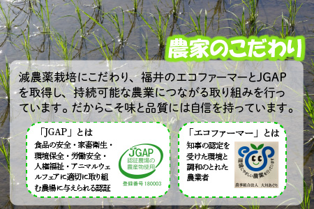 【令和7年産・新米】 おおかわさんちの華越前 10kg 精米 [C-10803]